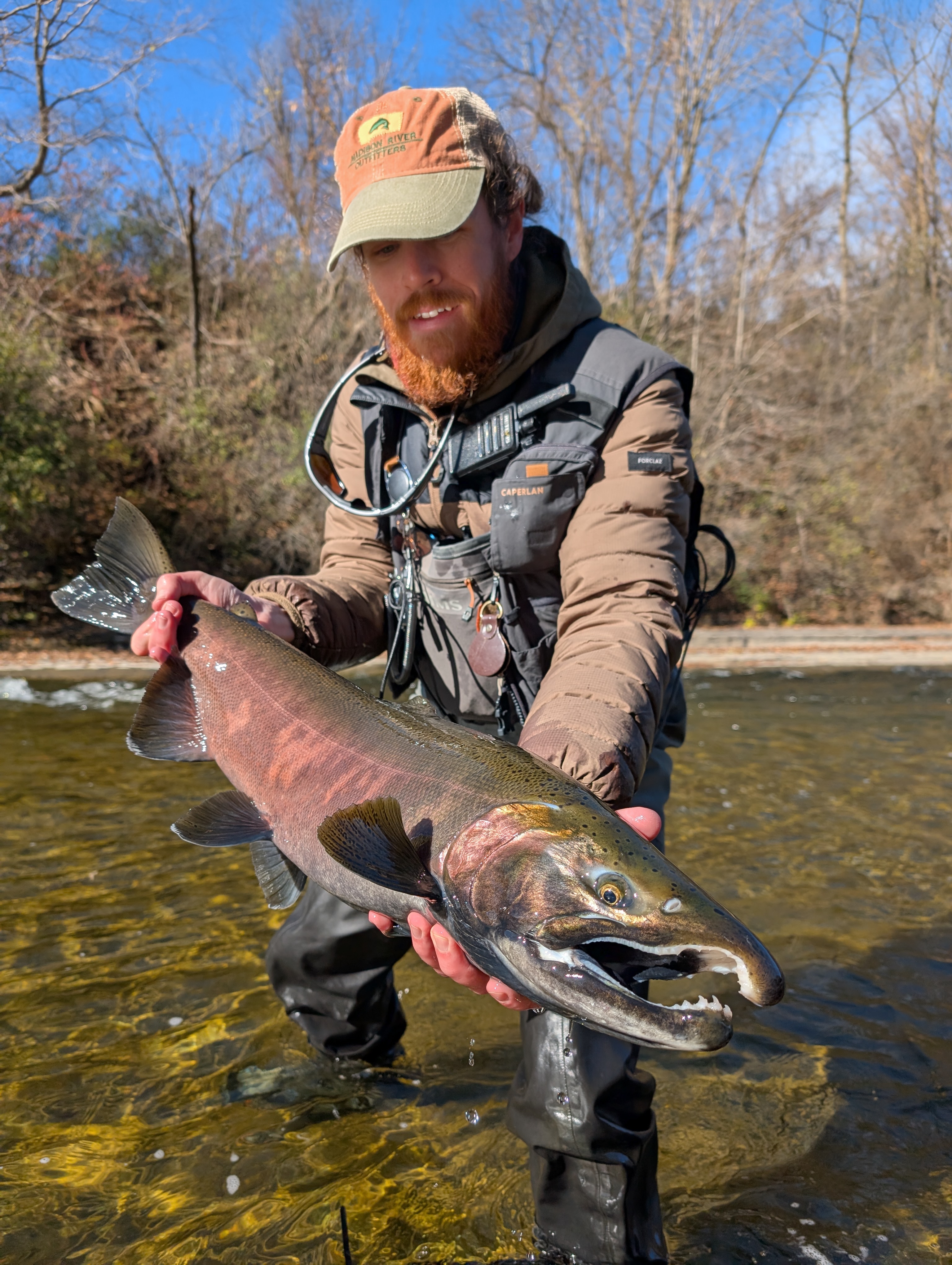 Pêche au Coho au lever du jour